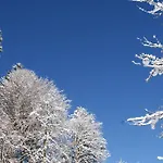 Bluntaumuehle شقة غولنغ ان دير سالزا