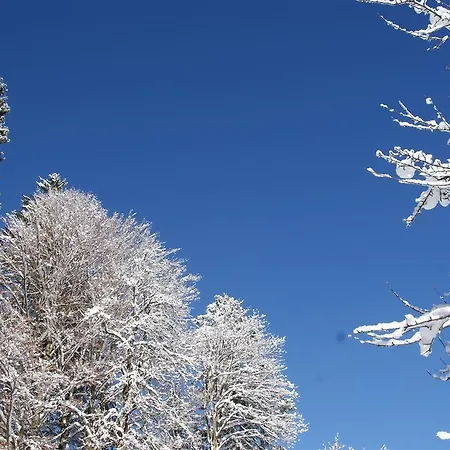 Bluntaumuehle شقة غولنغ ان دير سالزا