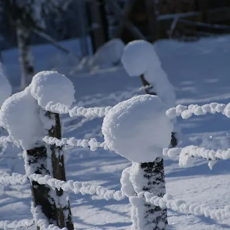 Bluntaumuehle Apartment *