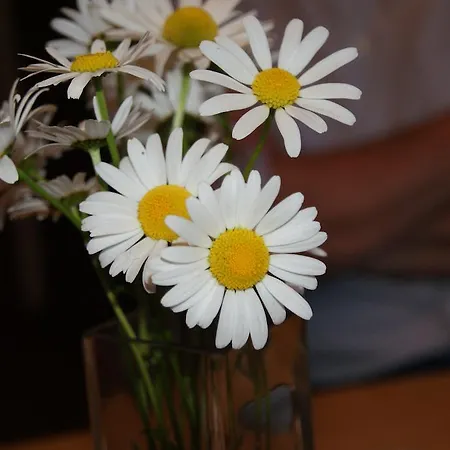 Apartment Bluntaumuehle *