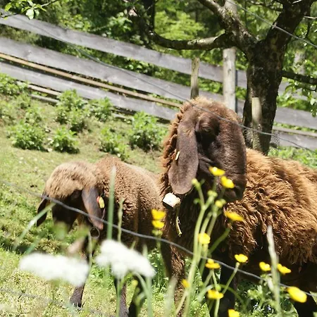 Bluntaumuehle * غولنغ ان دير سالزا