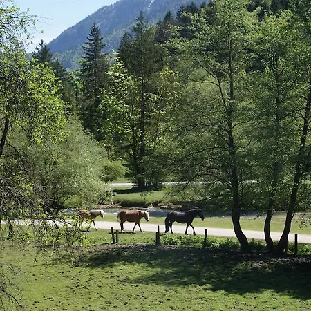 Bluntaumuehle شقة غولنغ ان دير سالزا