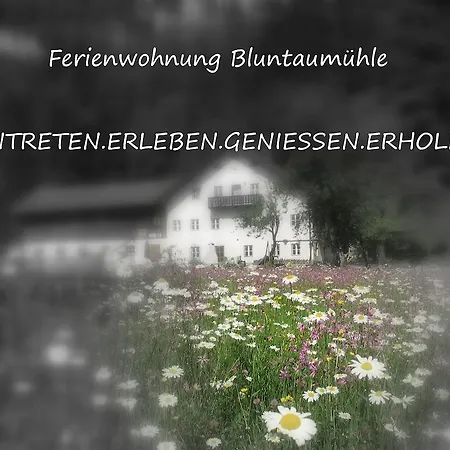 Apartment Bluntaumuehle Golling an der Salzach