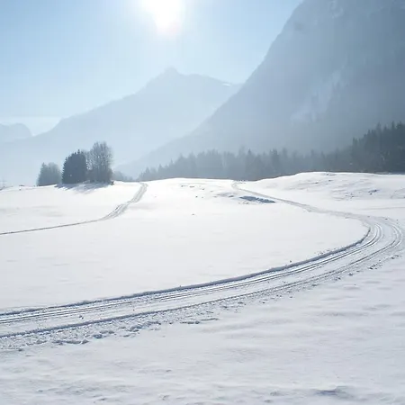 Bluntaumuehle Golling an der Salzach