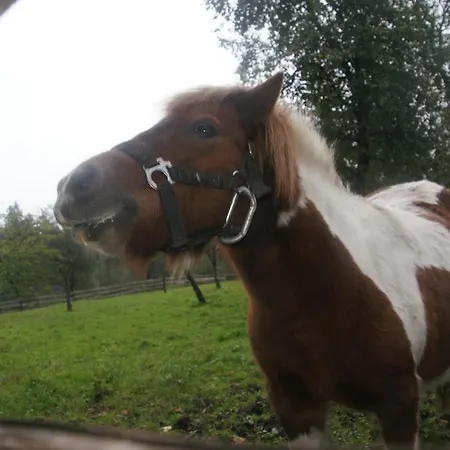 Apartment Bluntaumuehle