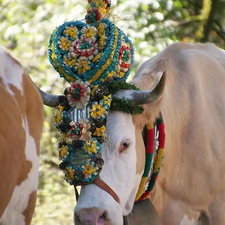 شقة Bluntaumuehle *