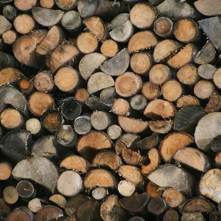 Apartment Bluntaumuehle Golling an der Salzach