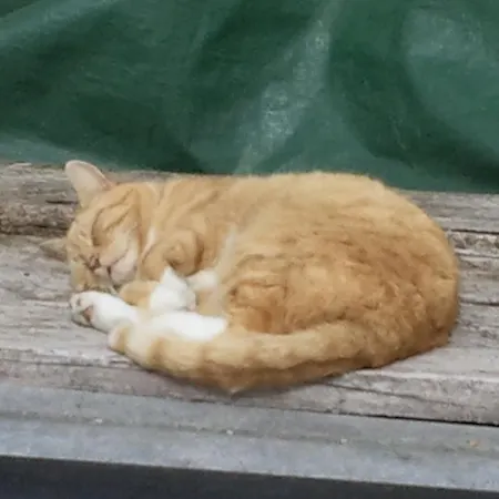 Apartment Bluntaumühle *