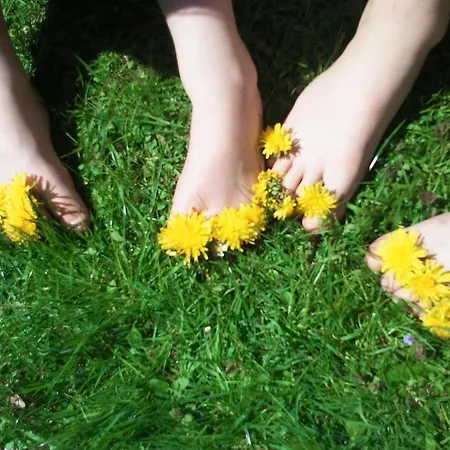 Bluntaumuehle غولنغ ان دير سالزا