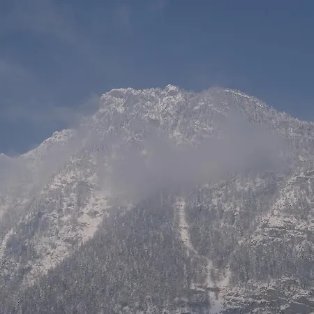 Bluntaumuehle غولنغ ان دير سالزا