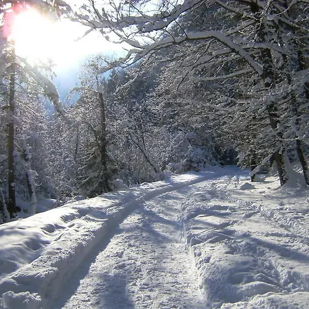 Apartment Bluntaumuehle *