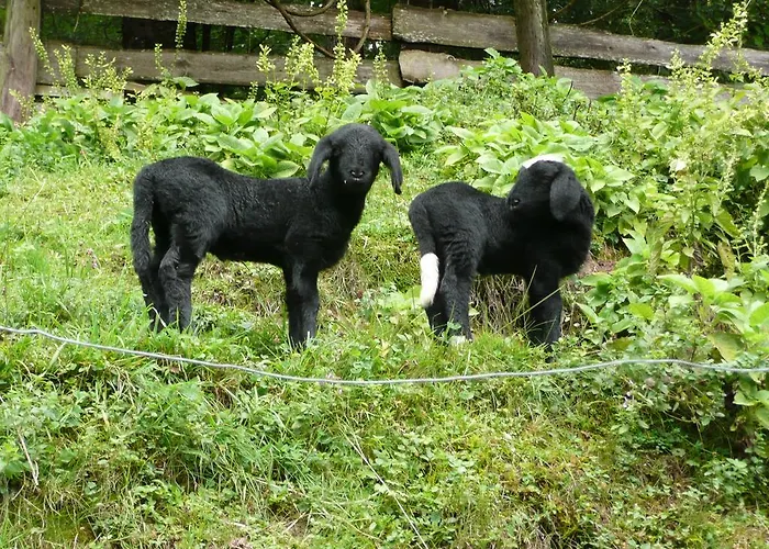 Lejlighed Bluntaumuehle