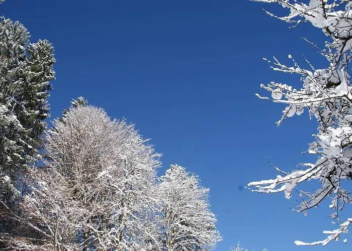 Bluntaumuehle Διαμέρισμα Golling an der Salzach