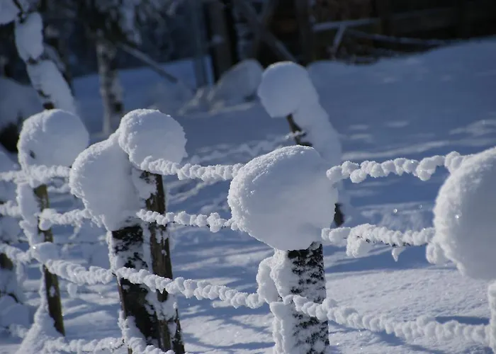 Bluntaumuehle Διαμέρισμα *