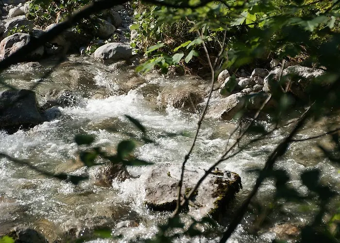 Bluntaumuehle Διαμέρισμα Golling an der Salzach