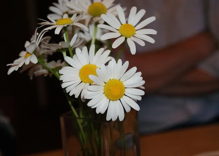 Lejlighed Bluntaumuehle *