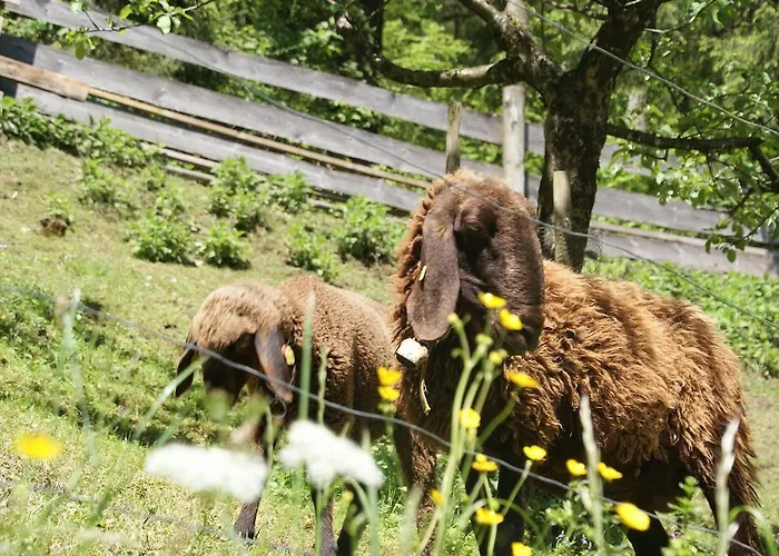 Bluntaumuehle * 골링안데살자흐