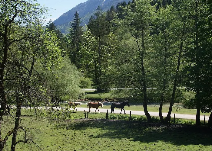 Bluntaumuehle Appartement Golling an der Salzach