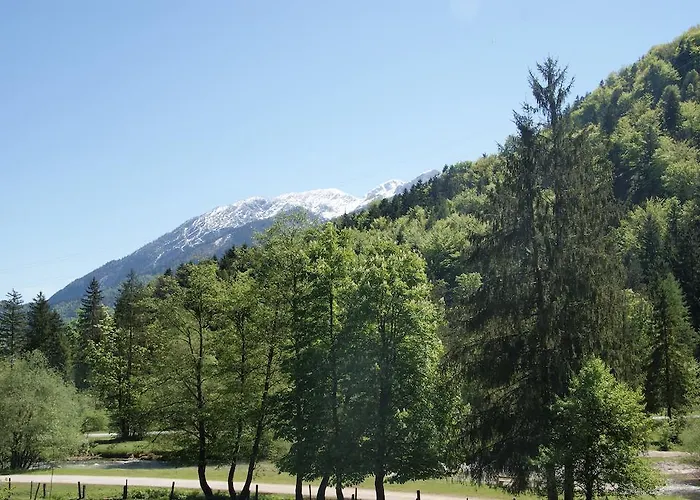 Bluntaumuehle Golling an der Salzach
