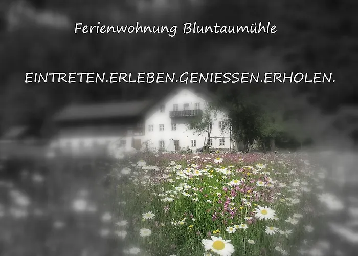 아파트 Bluntaumuehle 골링안데살자흐