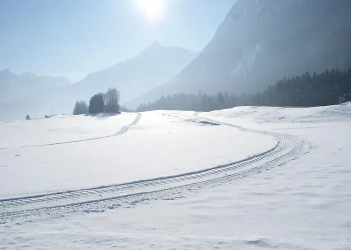 Bluntaumuehle Golling an der Salzach