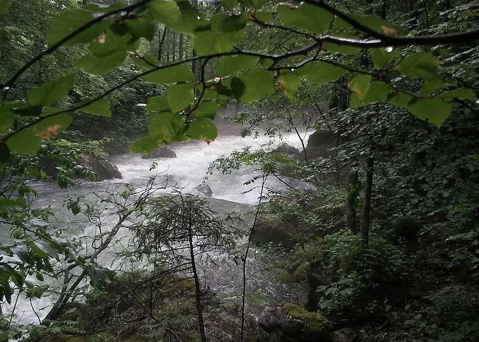 아파트 Bluntaumuehle 골링안데살자흐