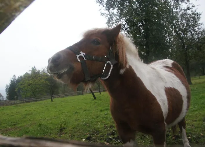 Lejlighed Bluntaumuehle