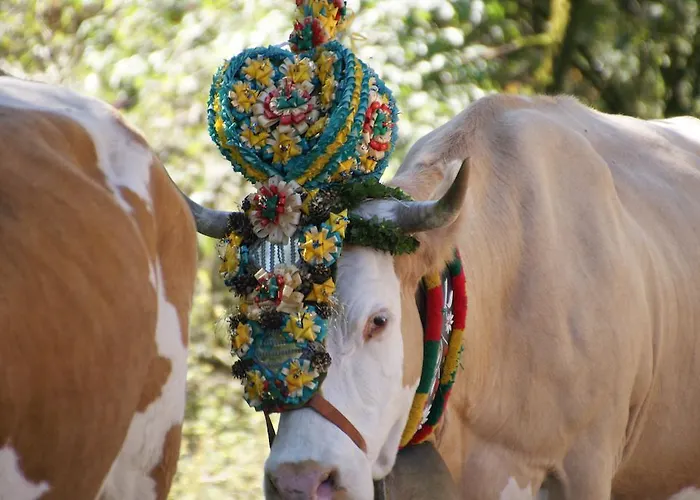 Διαμέρισμα Bluntaumuehle *