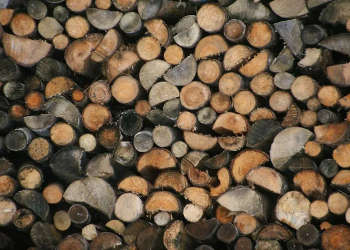 דירה Bluntaumuehle גולינג אן דר זלצאך