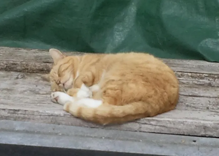 아파트 Bluntaumuehle *