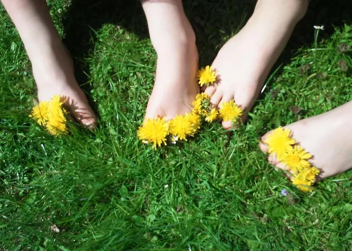 Bluntaumuehle 골링안데살자흐