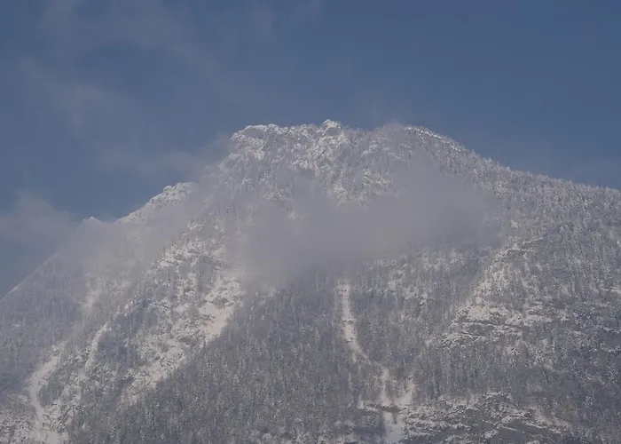 Bluntaumuehle 골링안데살자흐