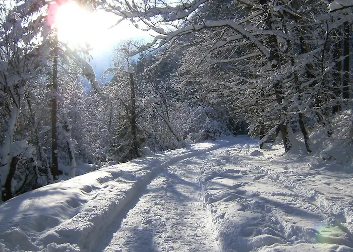 아파트 Bluntaumuehle *